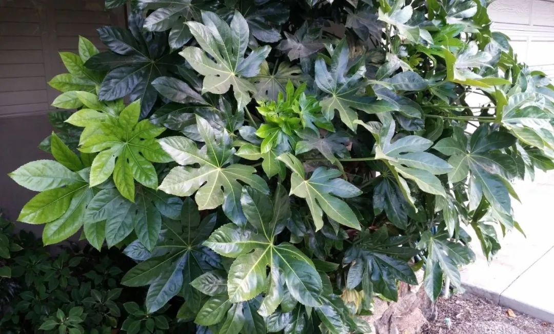 1676894001313978.jpg 微信圖片_20230220195203.jpg