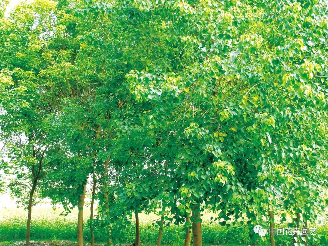 1676894241781110.jpg 微信圖片_20221101145438.jpg