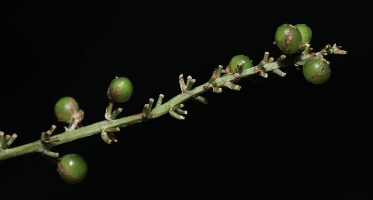 1676894597918986.png t01b8b5621a4814b857.png