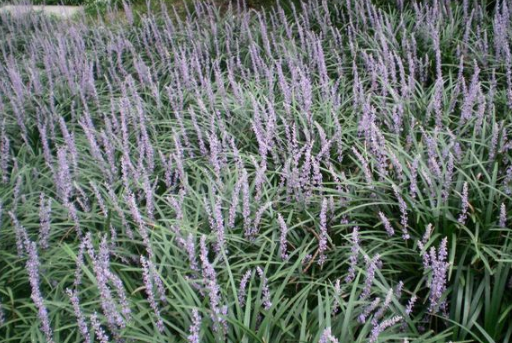 1676896623622247.png 微信圖片_20221105175454.png