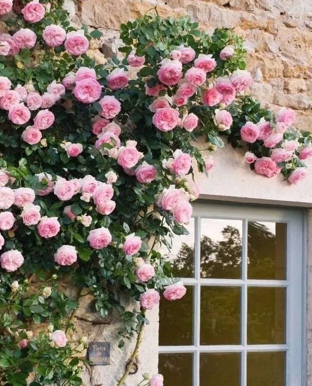 1676897183304330.jpg 微信圖片_20230108121920.jpg