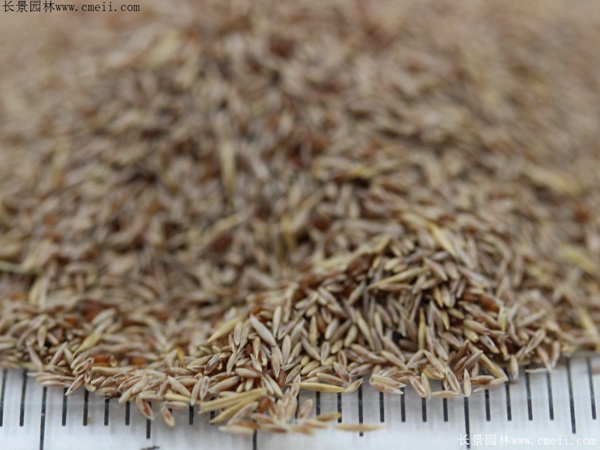 1712368881200153.jpg 1-1F5010G21EU.jpg