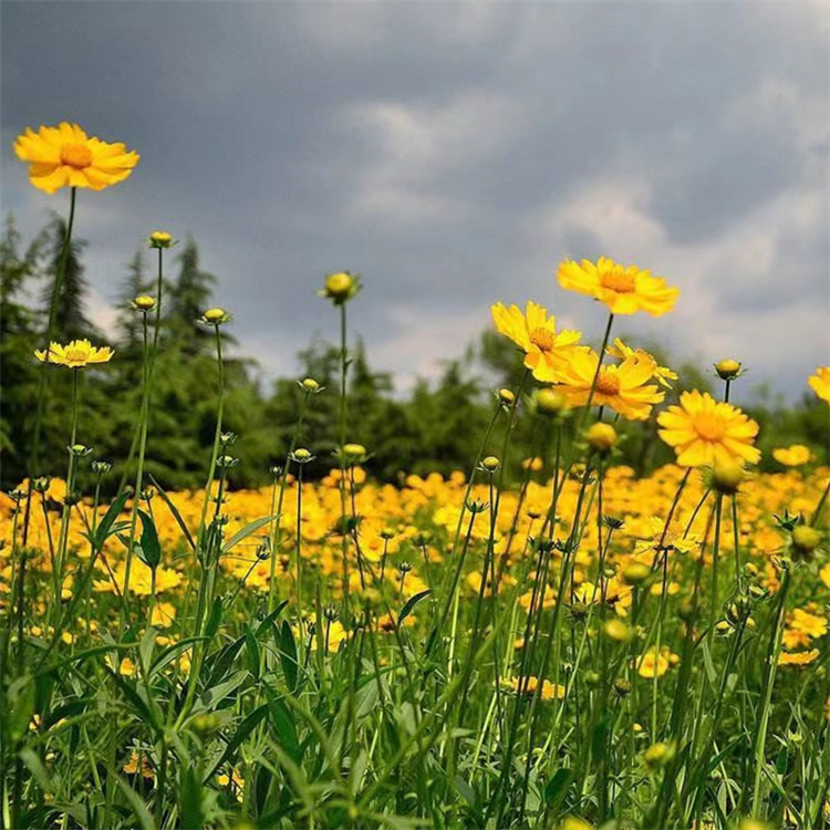 1712889586246480.jpg 1685494685534082.jpg