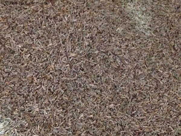 1712900580314408.jpg 1-1FF4120454414.jpg