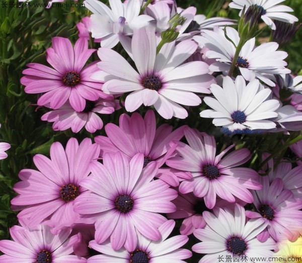 1712900584673140.jpg 1-1FF4120455916.jpg