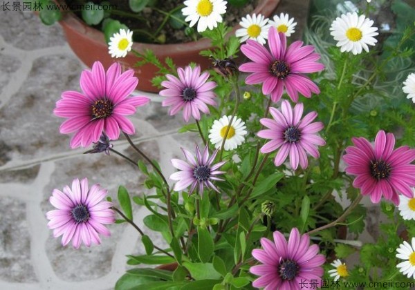 1712900596919953.jpg 1-1FF412045E41.jpg