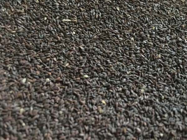 1712901190169370.jpg 1-1FFZ94I02U.jpg