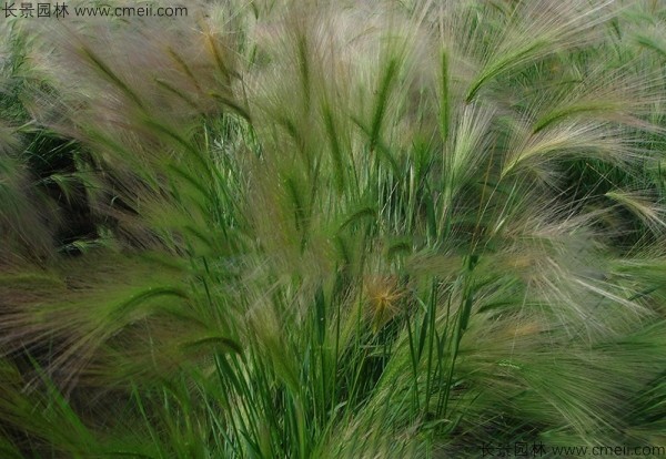 1712902611525870.jpg 1-1FF2114A3393.jpg