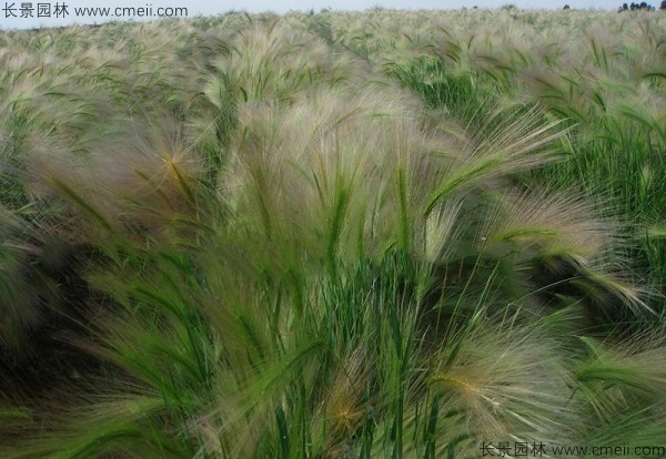 1712902615348545.jpg 1-1FF2114A3210.jpg