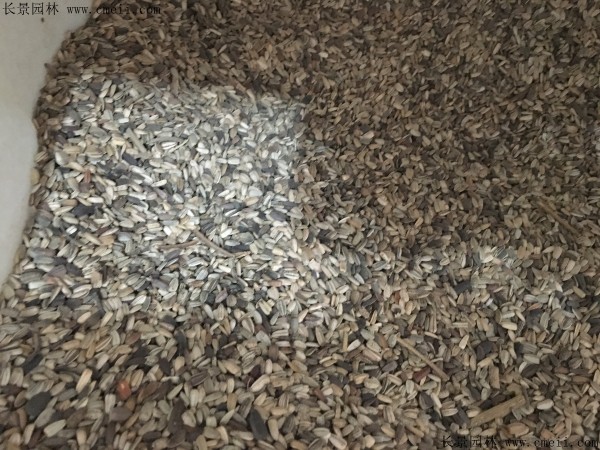 1713169729592237.jpg 1-1FF91041525J.jpg