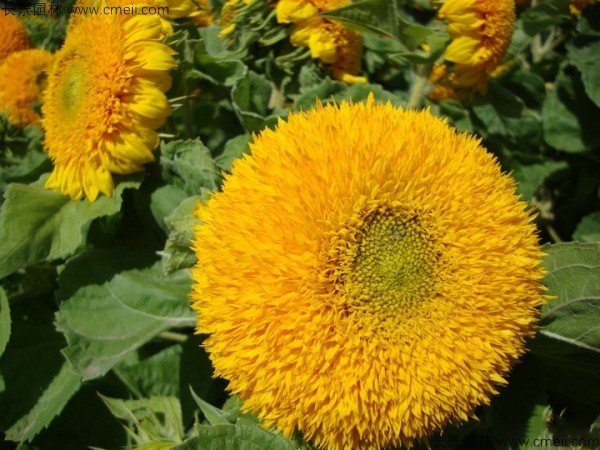 1713169745451604.jpg 1-1FF9104154G0.jpg