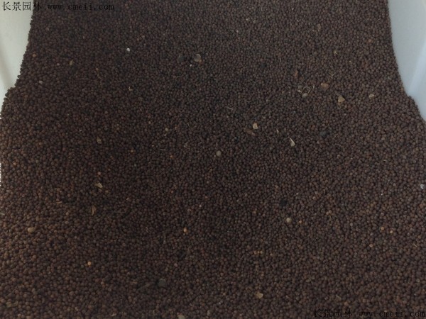 1713171022899584.jpg 1-1F5061SI5322.jpg